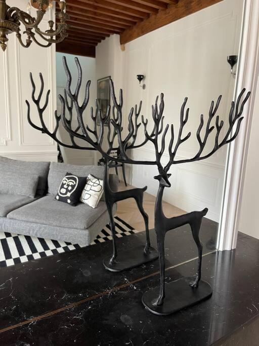 Le Grand Cerf By La Chambre A Cote ميتز المظهر الخارجي الصورة